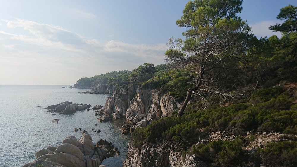 DSC_1073.JPG