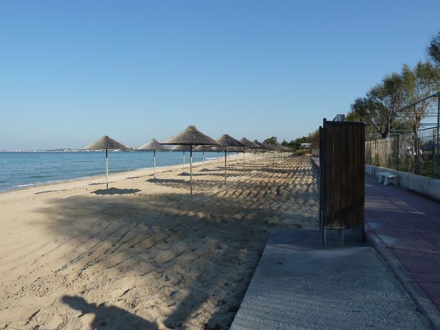 P1010043.JPG