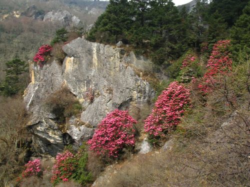 Nepal_00206.jpg