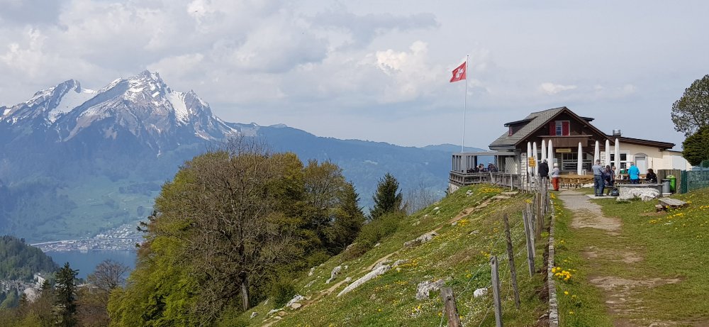 20190502_111730_1.jpg