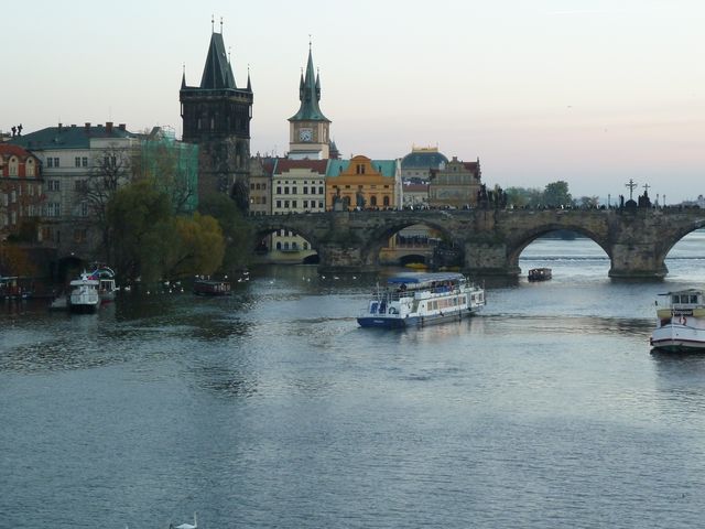 P1020251.JPG