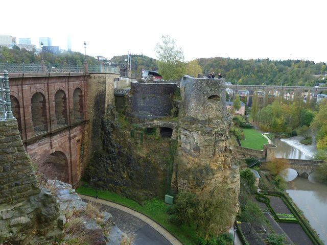 P1020341.JPG