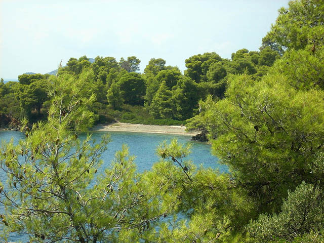 DSCN0792.JPG