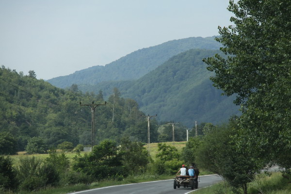 14 IMG_9368.jpg