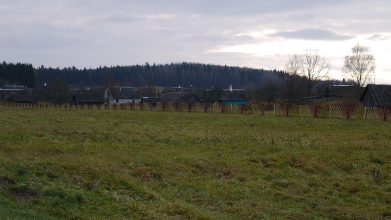 P1040102.JPG