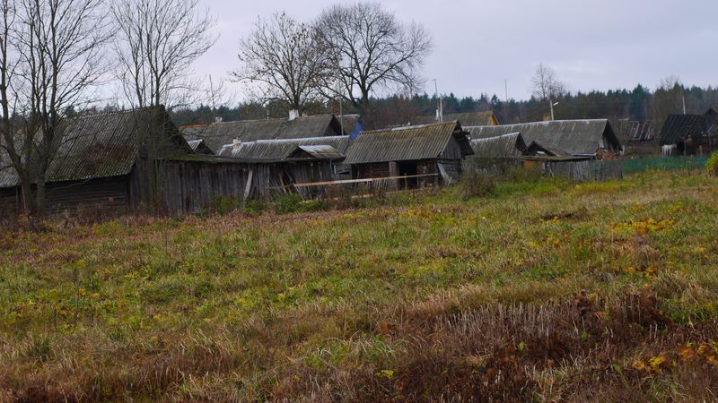 P1040106.JPG