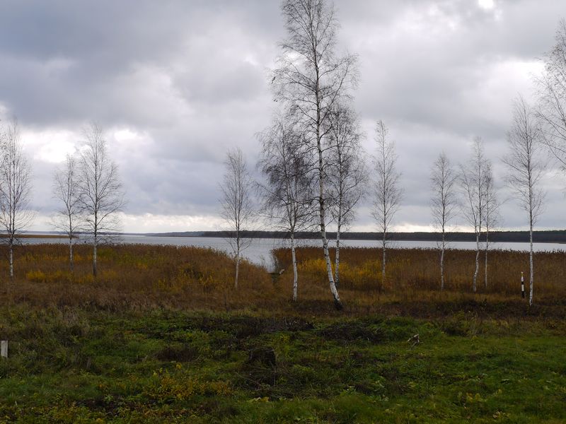 P1030871.JPG