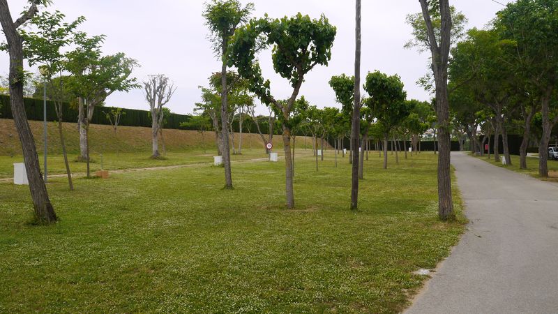 P1050745.JPG