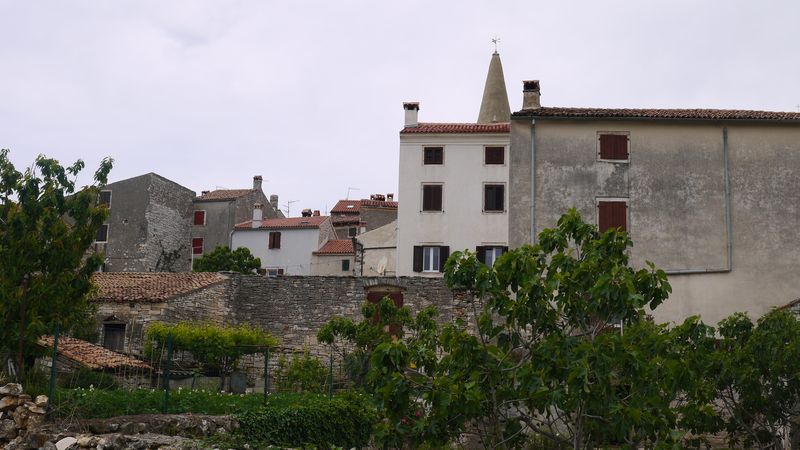 P1060235.JPG