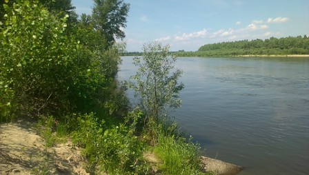 IMAG0053.jpg