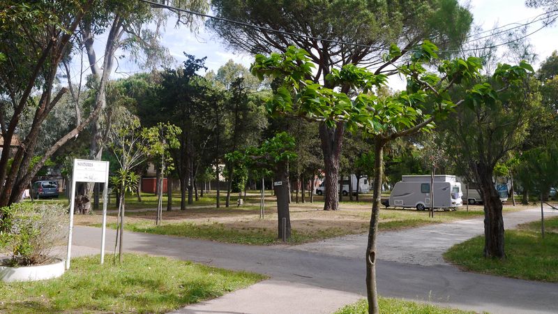 P1050853.JPG