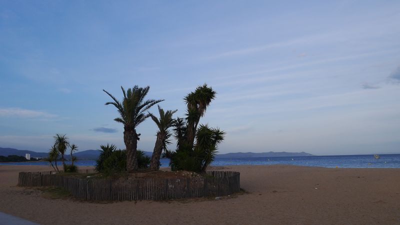P1050835.JPG