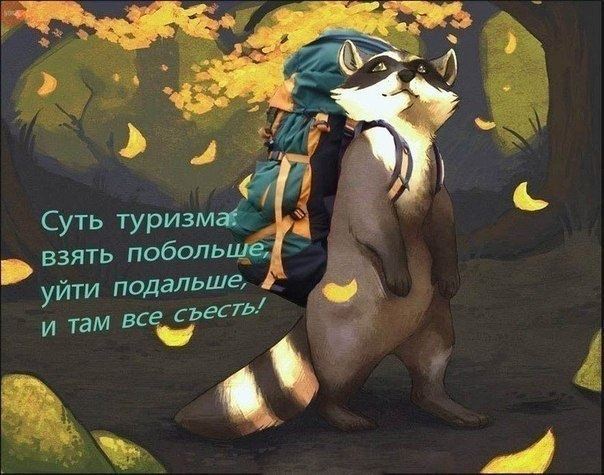 11698588_973653446020994_1895171109703910600_n.jpg