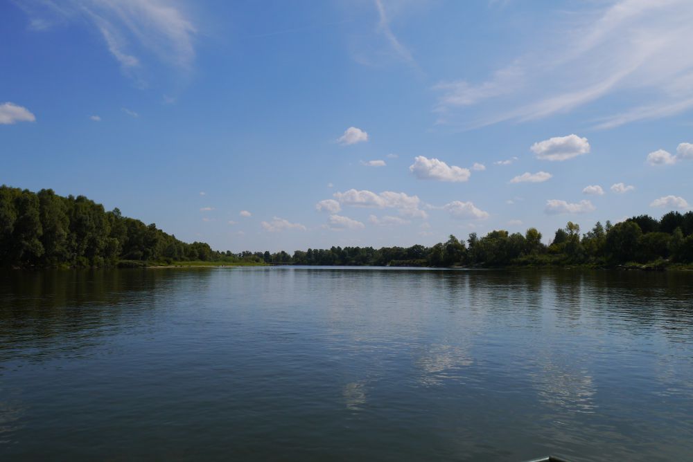 P1100631.JPG