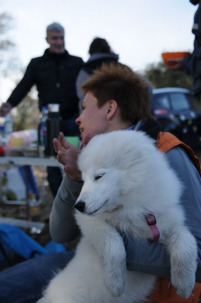 DSC_5381.JPG