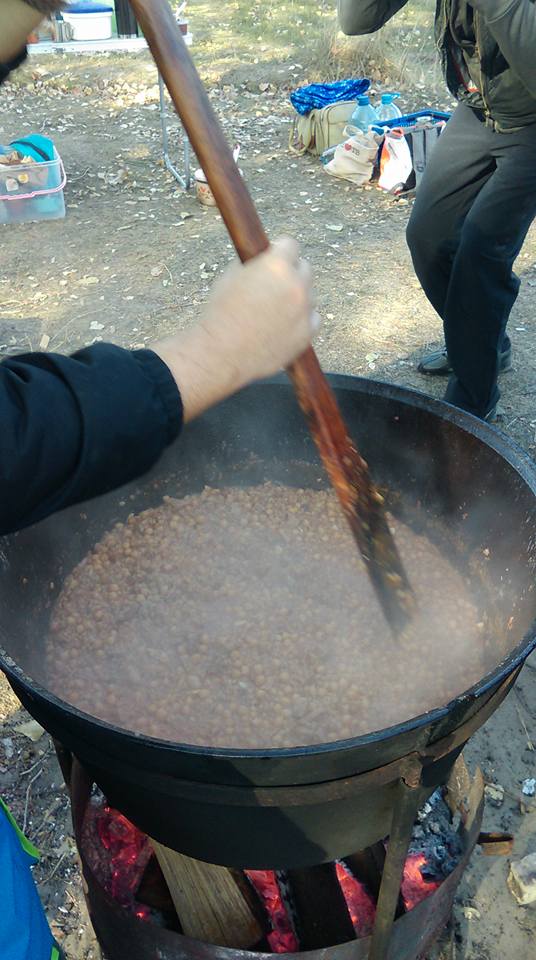 19.jpg