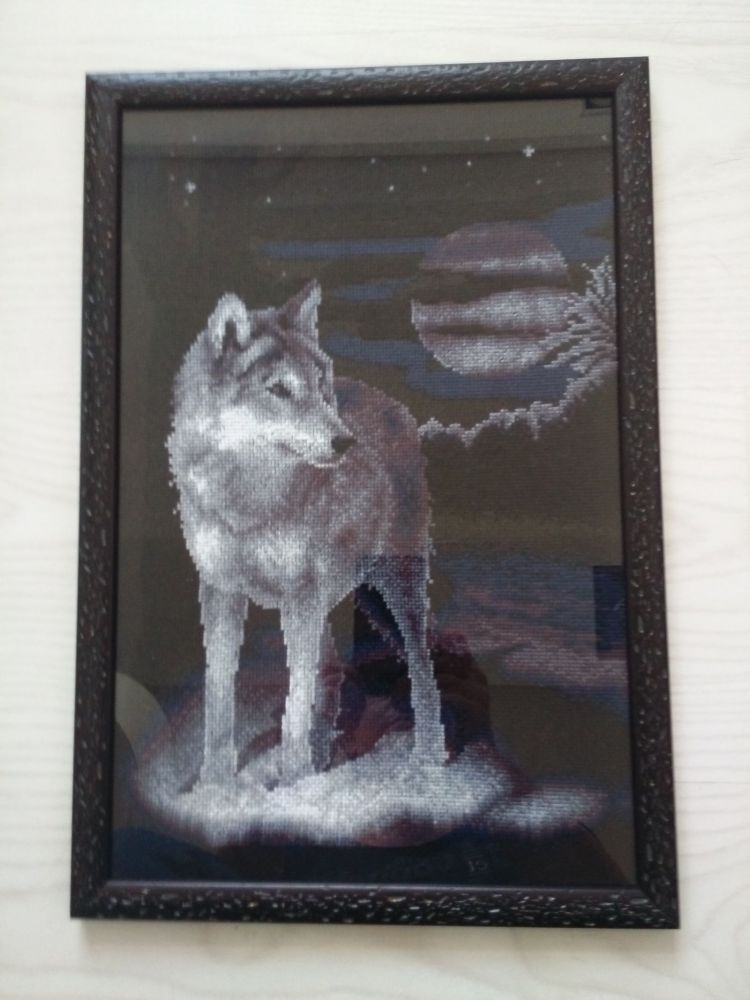 wolf.jpg