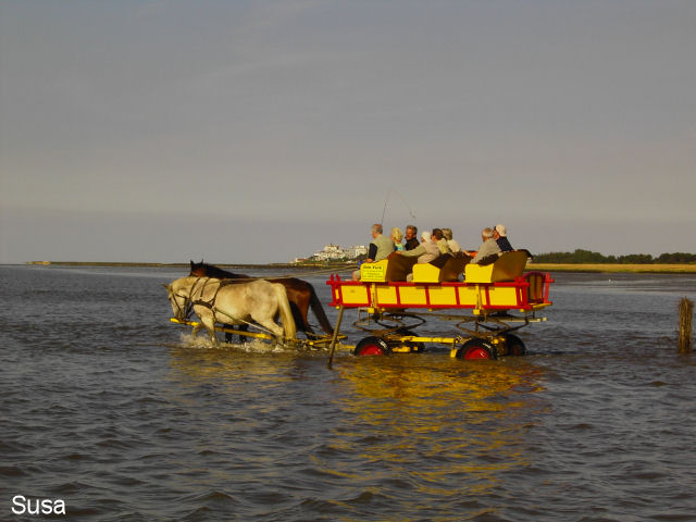 cuxhaven9gr.jpg