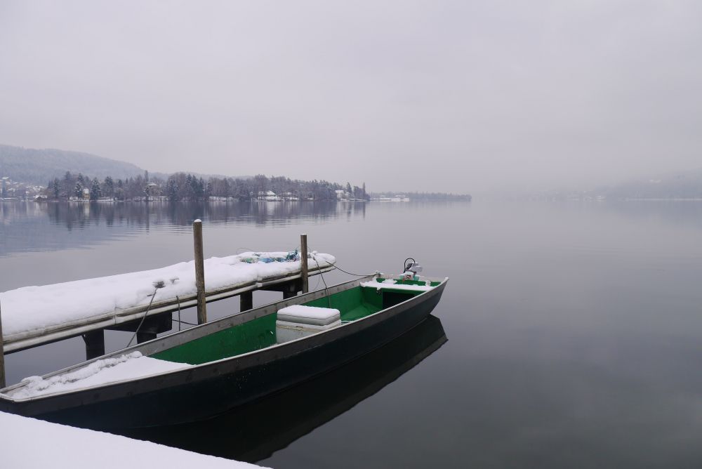 P1110533.JPG
