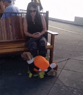 12345.gif