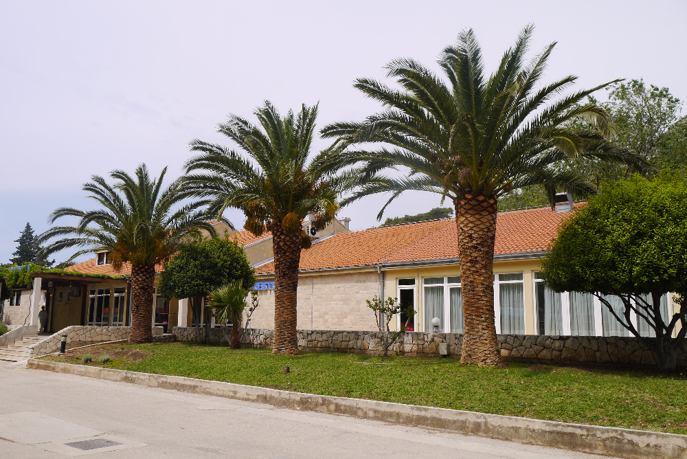 P1130549.JPG