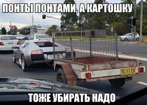 KcM6kj5ONhI.jpg