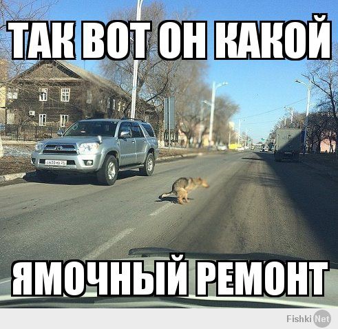 4a1465e96ff1b6b2365332ae3ea53fd0.jpg