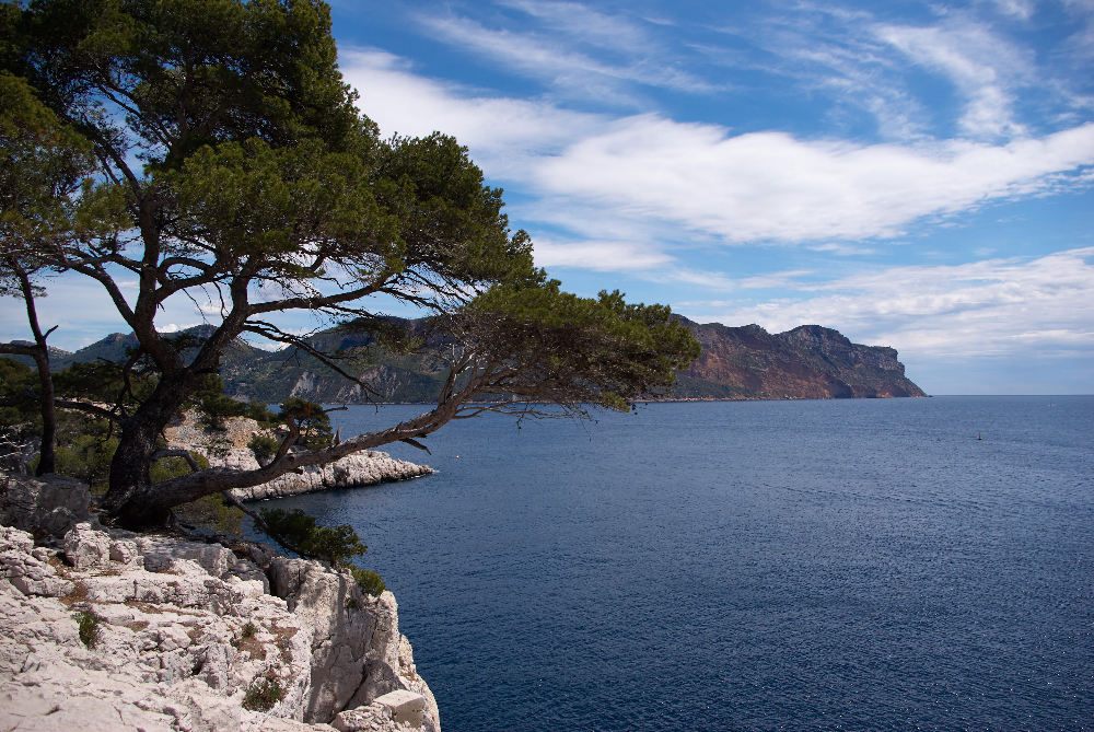 SG101516.jpg